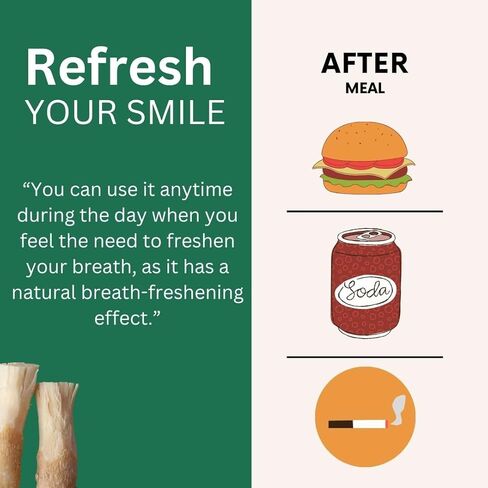Miswak عصا للأسنان العضوية | طقم تبييض فرشاة الأسنان | جودة مميزة مياك | Siwak عصا الأسنان | مضغ طبيعي العصي للبشر | مع حامل القلم in Kuwait