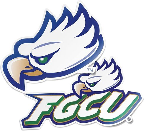 Desert Cactus Florida Gulf Coast University Eagles Sticker Vinyl Decal Laptop Water Bottle Car Scrapbook (4 Inch Set V1) in Saudi Arabia