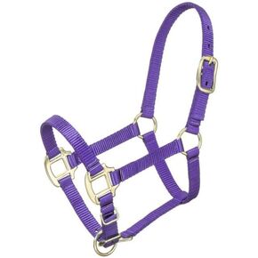 Tough 1 Premium Halter Mini Large Purple in Saudi Arabia