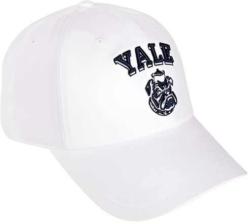Desert Cactus Yale University Baseball Hat Bulldogs bulldogs قبعات مطرزة على غطاء القماش القابل للتعديل in Kuwait