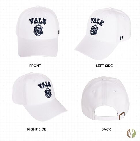 Desert Cactus Yale University Baseball Hat Bulldogs bulldogs قبعات مطرزة على غطاء القماش القابل للتعديل in Kuwait