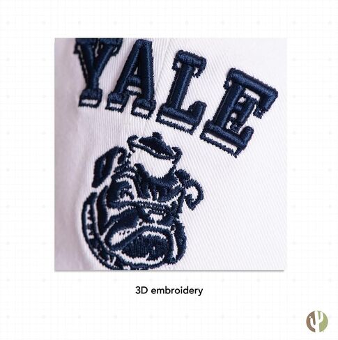 Desert Cactus Yale University Baseball Hat Bulldogs bulldogs قبعات مطرزة على غطاء القماش القابل للتعديل in Kuwait