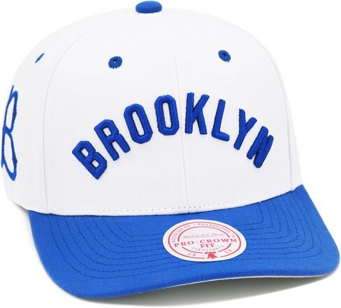 Mitchell & Ness Brooklyn Dodgers Cooperstown Throwback MLB Evergreen Pro Snapback Hat Cap - White in Saudi Arabia