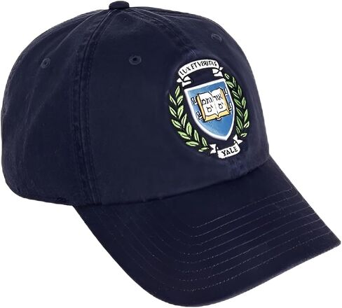 Desert Cactus Yale University Baseball Hat Bulldogs bulldogs قبعات مطرزة على غطاء القماش القابل للتعديل in Kuwait