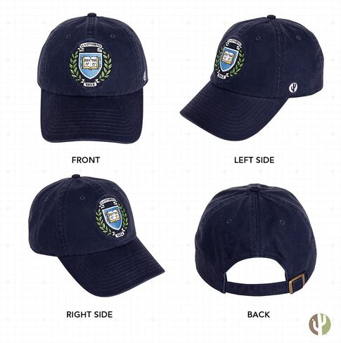 Desert Cactus Yale University Baseball Hat Bulldogs bulldogs قبعات مطرزة على غطاء القماش القابل للتعديل in Kuwait