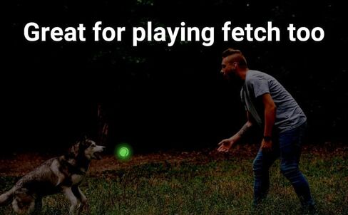 NW Athletics Glow in The Dark Tennis Ball Dog Toy, Medium Size, Light Up Tennis Ball for Dogs (3 Pack) in Kuwait