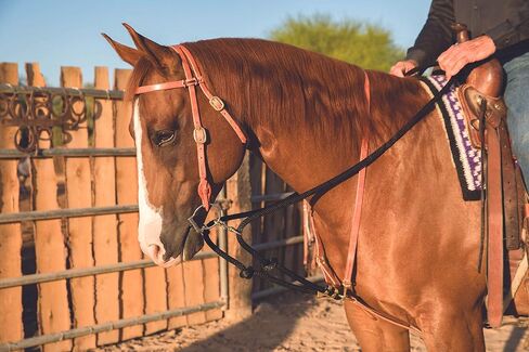 Al Dunning by Pro Choice Draw Rope Martingale in Saudi Arabia