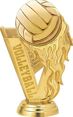 جوائز Crown Ballbleball Fireball Trophies ، Thanks Black Lightning Callbleball Trophy ، شملت النقش المخصص Prime in Saudi Arabia