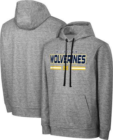 FOCO NCAA Men's Officially Licensed Gray Team Color Primary Logo Wordmark Performance Victory Stripe Pullover Hoodie in Saudi Arabia