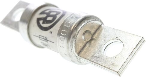 Cooper Bussmann FWH-100B 100 Amp 500 VAC Tag Fuse in Saudi Arabia