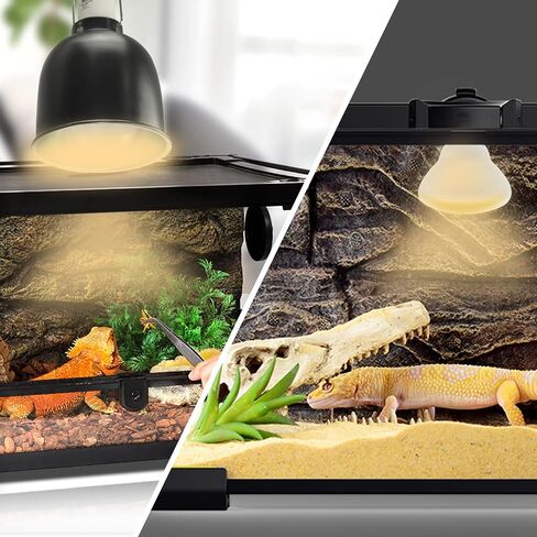 LUCKY HERP Heat Lamp Bulbs - 150W Reptile Heat Lamp 2 Pack, Daylight Basking Heat Lamp Bulbs for Reptile, UVA Heat Light Bulb for Reptiles, Amphibians, Bearded Dragons, Lizards, Turtles, Chickens in Saudi Arabia
