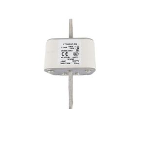 170M7244 170M7245 170M7246 170M7247 FUSE FUSE FUSE CORE (170M7244) in Kuwait