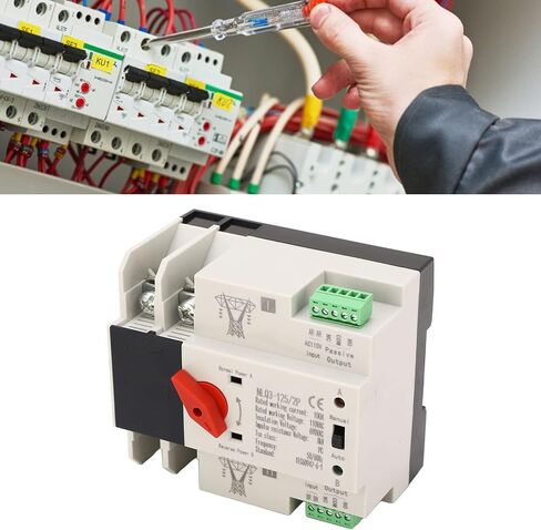 2P ATS Automatic Transfer Switch Din Rail Mounted Power Generator Changeover Switch Electrical Selector Switches AC110V 100A in Saudi Arabia