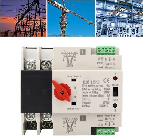 2P ATS Automatic Transfer Switch Din Rail Mounted Power Generator Changeover Switch Electrical Selector Switches AC110V 100A in Saudi Arabia