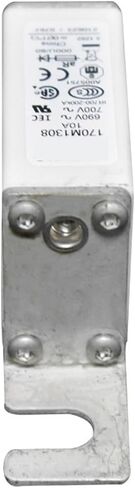 170M1464 170M1465 170M1466 170M1467 Standard Fuse(170M1465) in Saudi Arabia