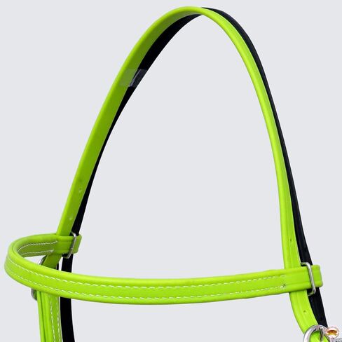 Hilason Western Horse Biothane Leather Stall & Thip Set in Kuwait