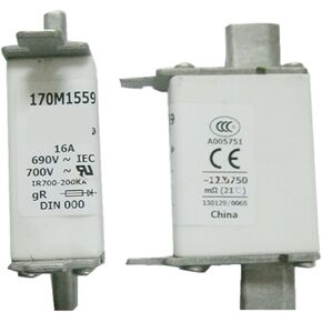 170M6064 170M6065 170M6066 170M6067 Fast Fuse Protector(170M6066) in Kuwait
