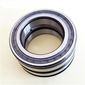 1pcs Bearing SL045009-PP 45X75X40 SL045009 E5009N Full complement Cylindrical Roller Bearings for Crane in Saudi Arabia