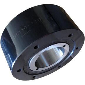 BS30 One Way Bearing in Saudi Arabia
