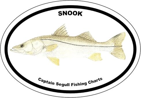 ملصق Snook المصد in Saudi Arabia
