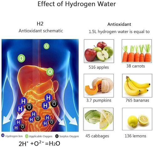 زجاجة ماء الهيدروجين-Infuser المحمولة للهيدروجين للترطيب المحسن ، خالي من BPA ، مقاوم للتسرب ، 420 مل/15 أوقية ، مثالية لللياقة والمشي لمسافات طويلة والسفر والاستخدام اليومي (الفضة) in Saudi Arabia