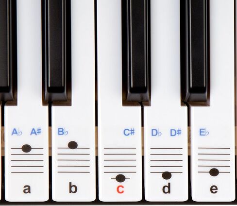 New And Improved - Keysies® Transparent Plastic Removable Piano and Keyboard Note Stickers - Plus Handy Placement Guide. in Saudi Arabia