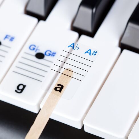 New And Improved - Keysies® Transparent Plastic Removable Piano and Keyboard Note Stickers - Plus Handy Placement Guide. in Saudi Arabia