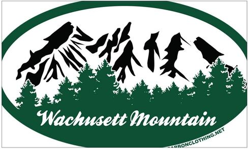 Wachusett Mountain State Park Decal Vinyl Bumper Sticker 5" in Saudi Arabia