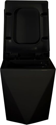 Winzo Square Square One Piece Evalet Black مع زر ذهبي للحمام الحديث والتصميم الأنيق على شكل الماس Elonagted Rectangle 17 "Bowl Comfort و Glossy Black in Kuwait