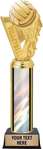 Crown Awards 11" Second Place Volleyball Fireball Trophies - Volleyball Fireball Silver Trophy Prime in Saudi Arabia