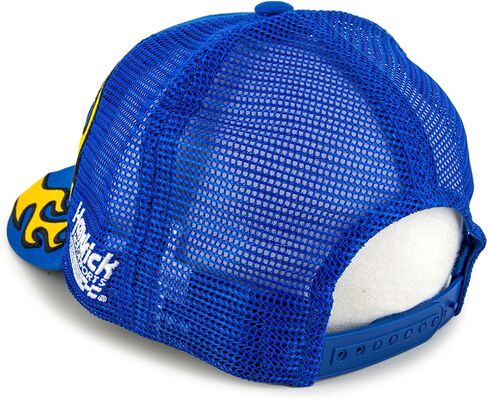 Chase Elliott 2025 Flame #9 Snapback Mesh Hat Blue in Kuwait