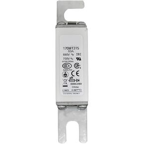 170M3318 170M3319 170M3320 170M3321 FUSE FUSE (170M3319) in Kuwait