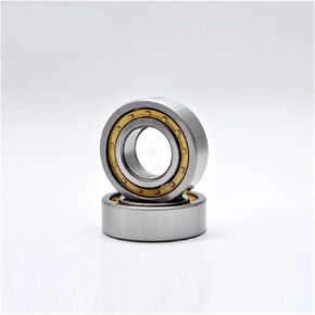 1pcs Cylindrical Roller Bearings NUP310 NUP311 NUP312 NUP313(NUP312W C3) in Saudi Arabia