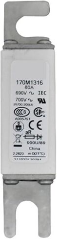 170M1358 170M1359 170M1360 170M1361 170M1362 FUSE (170M1358) in Saudi Arabia