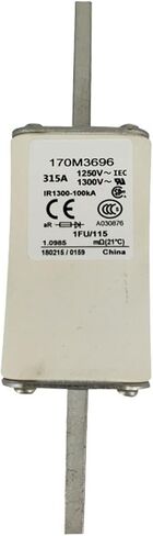 170M2766 170M2767 170M2768 170M2769 Fast Fuse Fuse Bottom(170M2768) in Saudi Arabia