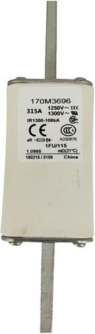 170M2701 170M2702 170M2708 170M2709 Circuit Protector Fuse(170M2701) in Saudi Arabia