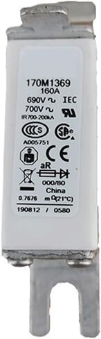 170M3113 170M3114 170M3115 170M3116 CERAMIC FUSE (170M3114) in Saudi Arabia