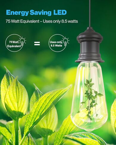 Sunco 12 Pack Vintage LED Edison Plubs ، 75W مكافئ 8.5W ، 1000 LM Dimmable St58 Filament 3000K Whate White ، E26 قاعدة متوسطة ، مصابيح كهربائية زجاجية صافية. in Kuwait