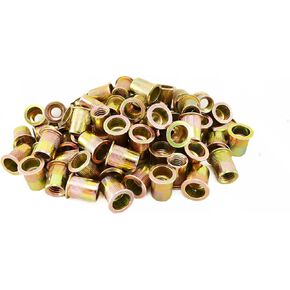 Astro Tools RN10M 100pcs M10 10mm Steel Rivet Nuts, Golden