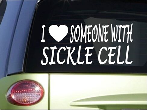 EZ-STIK I Love Someone with Sickle Cell *H960* 8" Sticker Decal Cure Anemia diseasedisease ice in Saudi Arabia