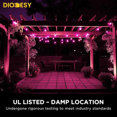 DIODESY- LED S14 String Black Light Presplication Bulb 2W (25W ما يعادلها) E26 قاعدة متوسطة قابلة للخلايا عتيقة الزجاج الملون لزخرفة الحفلات الإضاءة الفناء الفناء in Saudi Arabia
