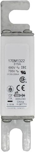 170M4417 170M4418 170M4419 170M4438 FAST FUSE FUSE (170M4438) in Saudi Arabia