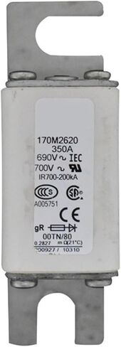 170M4417 170M4418 170M4419 170M4438 FAST FUSE FUSE (170M4438) in Saudi Arabia