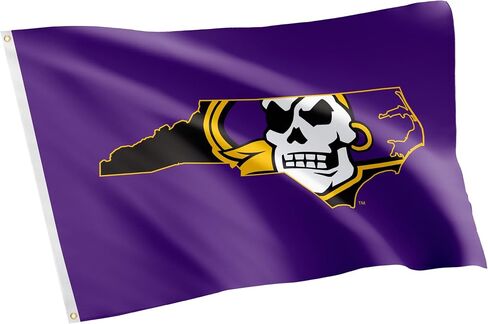 Desert Cactus East Carolina University Flag - 3 × 5 أقدام قراصنة لافتة ، نسيج متين داخلي/خارجي ، تصميم البوليستر بنسبة 100 ٪ (النمط ب) in Saudi Arabia