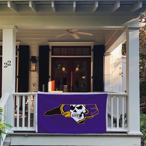 Desert Cactus East Carolina University Flag - 3 × 5 أقدام قراصنة لافتة ، نسيج متين داخلي/خارجي ، تصميم البوليستر بنسبة 100 ٪ (النمط ب) in Saudi Arabia