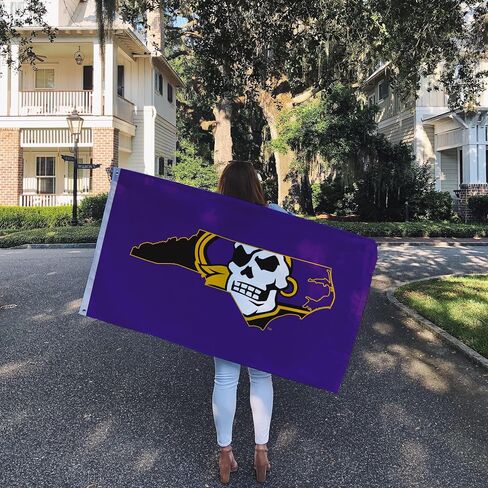 Desert Cactus East Carolina University Flag - 3 × 5 أقدام قراصنة لافتة ، نسيج متين داخلي/خارجي ، تصميم البوليستر بنسبة 100 ٪ (النمط ب) in Saudi Arabia