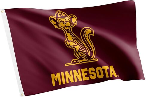 Desert Cactus University of Minnesota UM Flag - 3 × 5 أقدام لافتة GoPhers الذهبية ، النسيج المتين الداخلي/الخارجي ، تصميم البوليستر 100 ٪ (النمط Z) in Kuwait