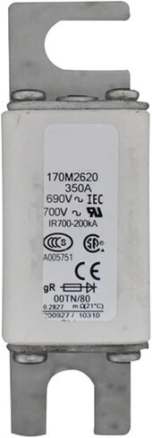170M3190 170M3191 170M3192 170M3193 FASE-TACHING FUSE (170M3192) in Saudi Arabia