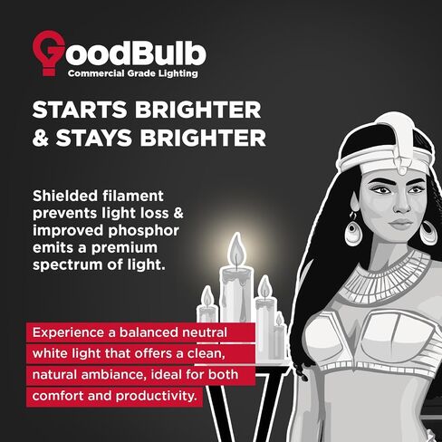 GoodBulb F32T8/835/ECO 32W 48 Inch T8 Fluorescent Light Bulb, 3500K Soft White Medium Bi-Pin Base, 3050 Lumens 86 CRI 24000 Life Hours, Instant/Programmed Start (25 Pack) in Kuwait