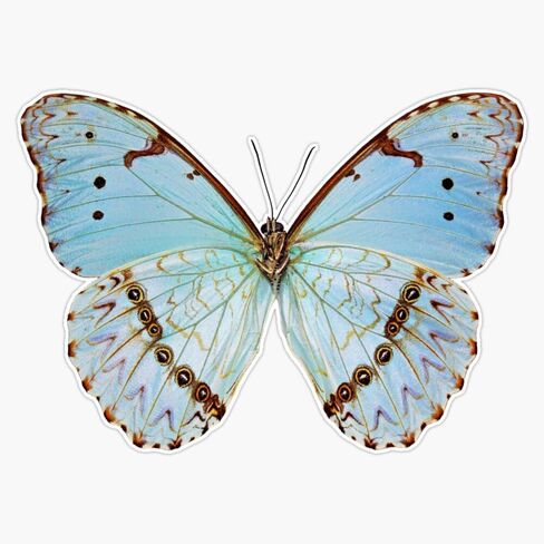 Blue Butterflies Sticker Vinyl Waterproof Sticker Decal Car Laptop Wall Window Bumper Sticker 5" in Saudi Arabia